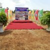 Division Sports 2019
